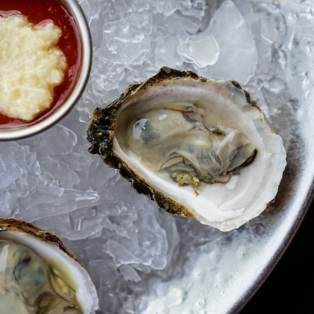 Blue point oyster